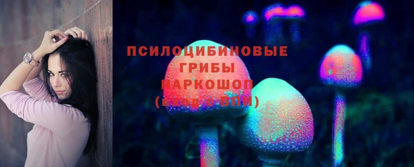 крисы Алзамай