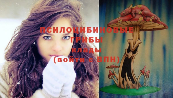 крисы Алзамай